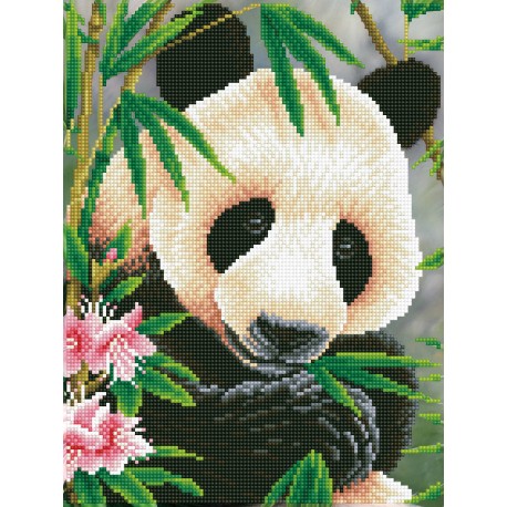 Kit Panda