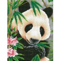 Kit Panda
