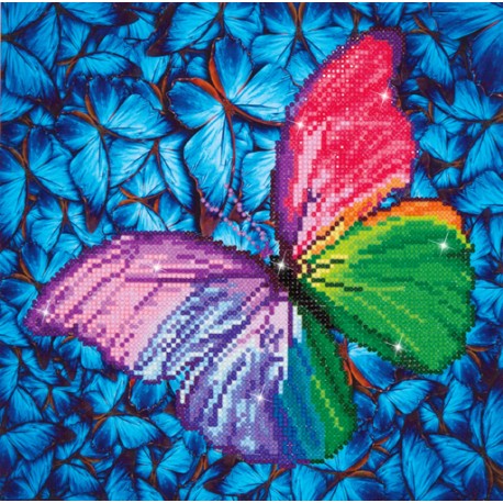 Kit Papillon