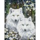 Kit Tendres Loups
