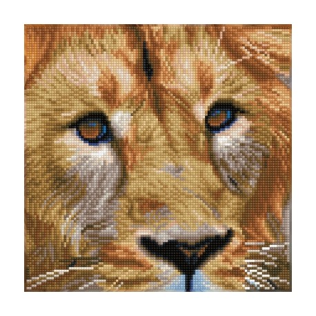 Kit Portrait de Lion