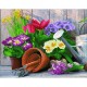 Kit Jardin d'Eté