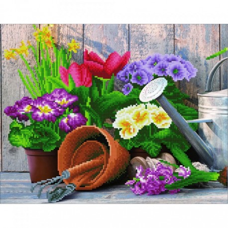 Kit Jardin d'Eté