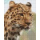 Kit Leopard Grande Plaque